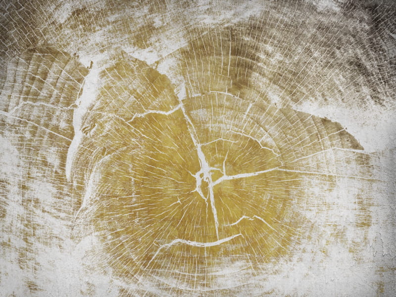 Fototapeta Zeichnung auf einem Holzstück