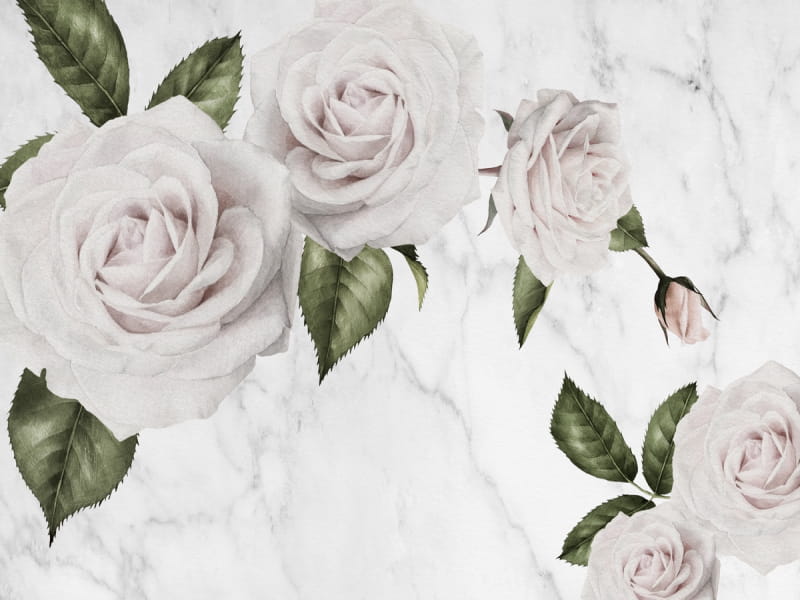 Fototapeta Wunderschöne zarte Rosen