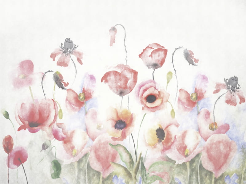 Fototapeta Feld mit wunderschönen Mohnblumen