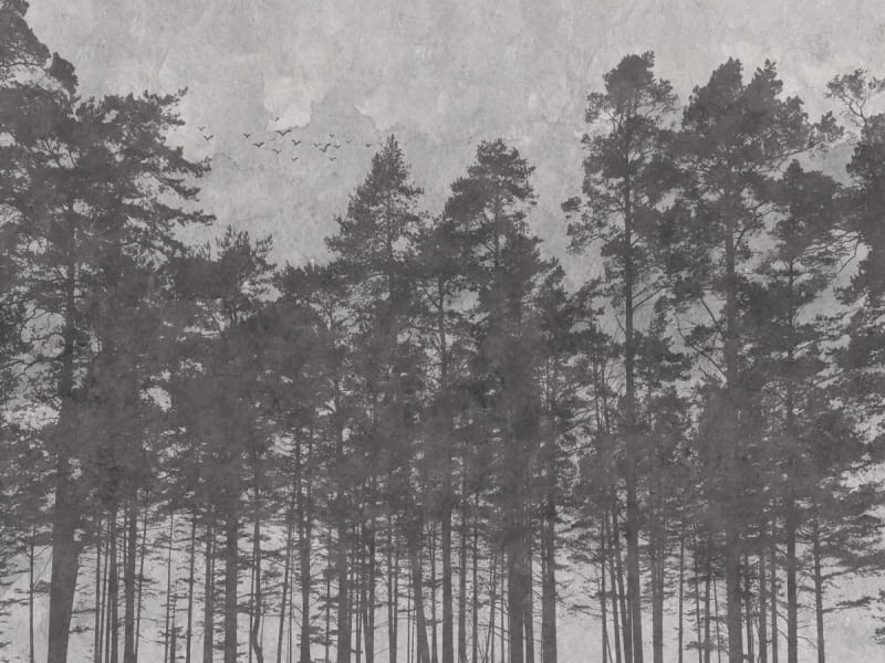 Fototapeta Geheimnis des Waldes