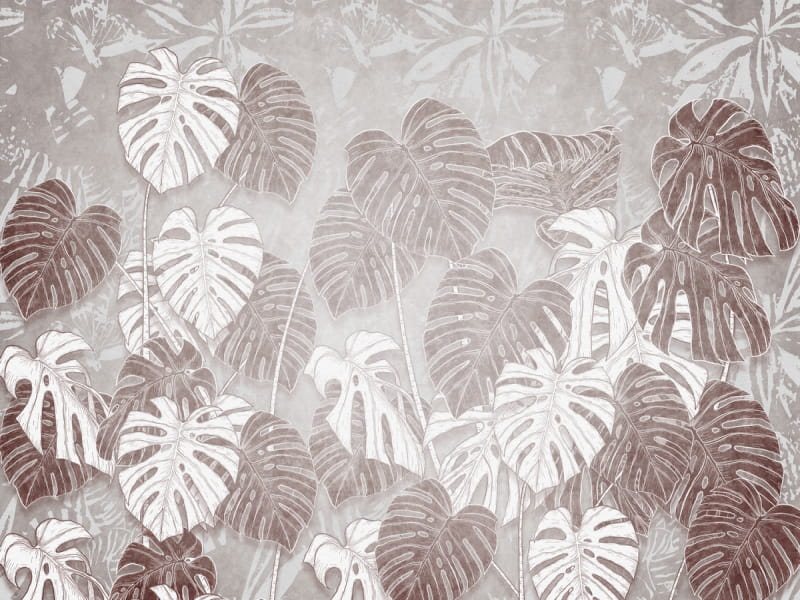 Fototapeta Tropische Monstera-Blätter