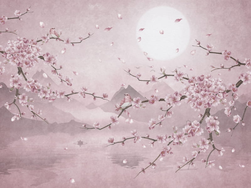 Fototapeta Sakura-Farbe