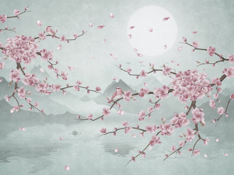 Fototapeta Sakura unter dem Mond