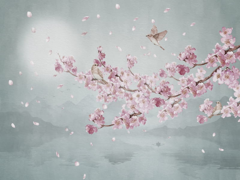 Fototapeta Rosa Blüte