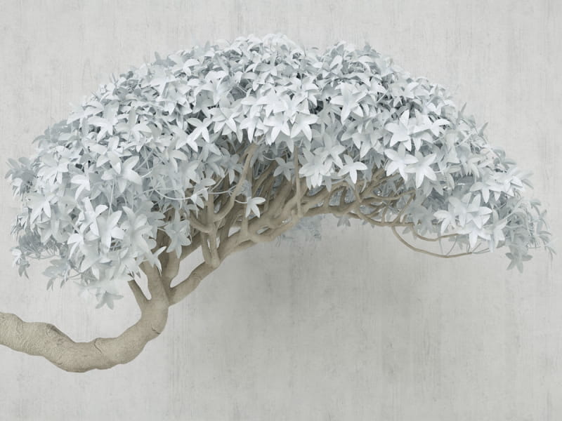 Fototapeta Grauer Baum