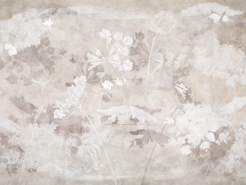 Fototapeta Feld mit weißen Blumen