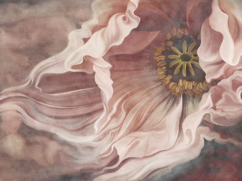 Fototapeta Tulpe, Zeichnung