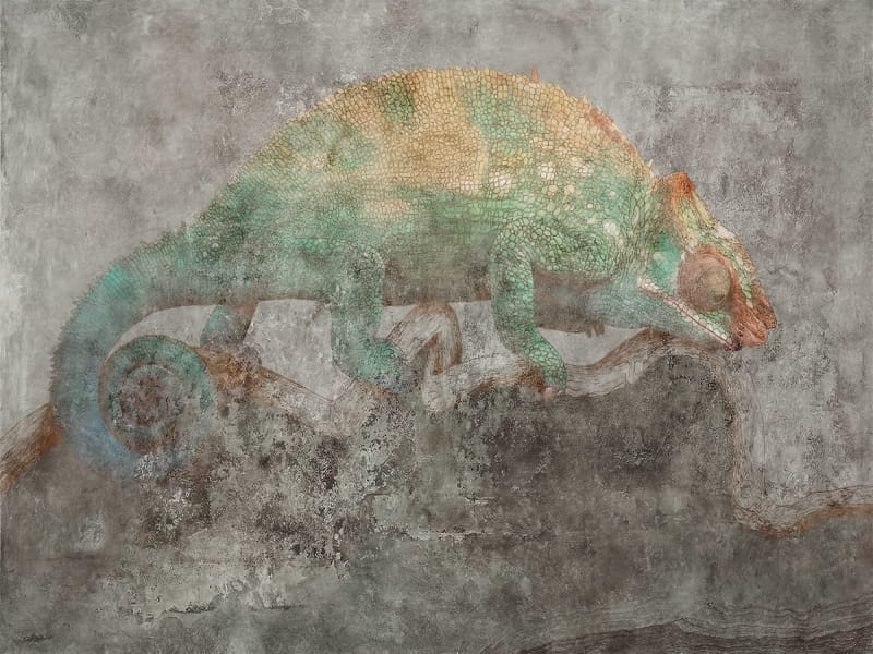 Fototapeta Chamäleon auf der Jagd