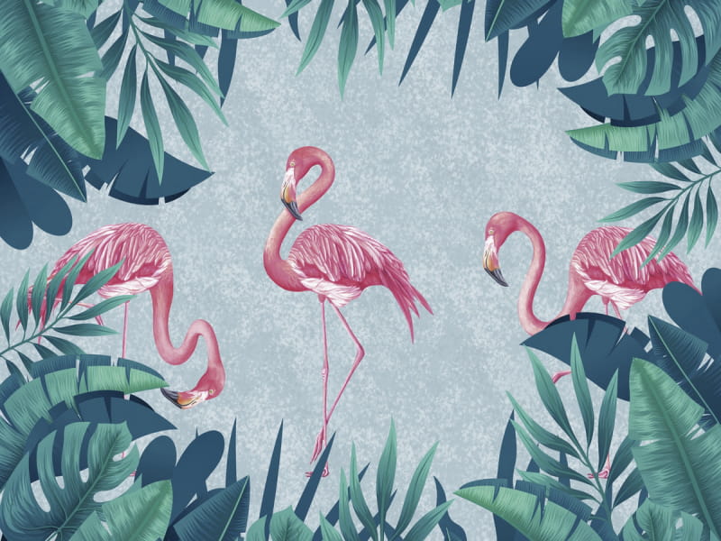 Fototapeta Wunderschöne rosa Flamingos