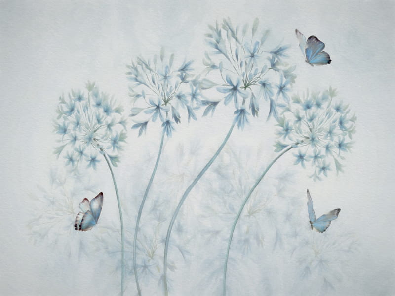 Fototapeta Blühendes Allium