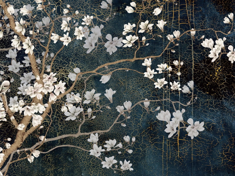 Fototapeta Magnolie blüht