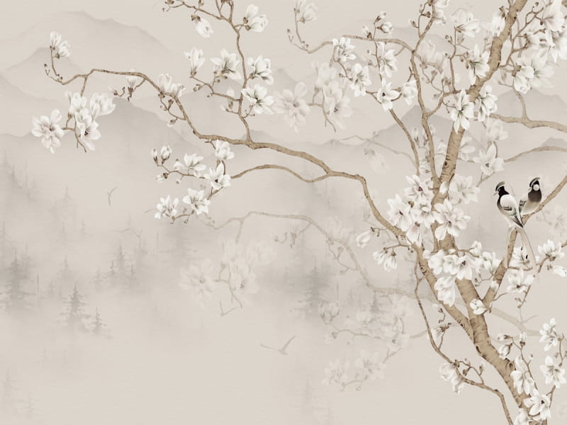 Fototapeta Die Schönheit der Magnolie
