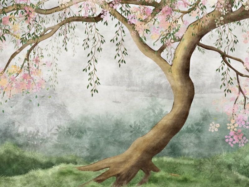 Fototapeta Wunderschöne Sakura