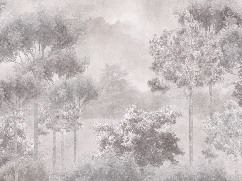 Fototapeta Laubwald, Zeichnung