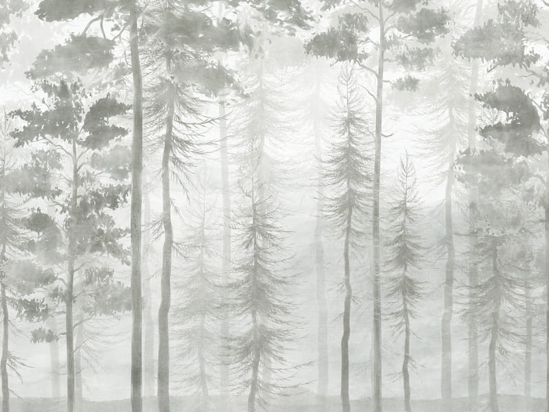 Fototapeta Wald, Zeichnung