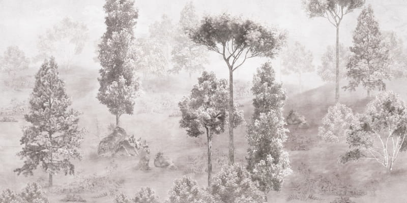 Fototapeta Wunderschöne Waldlandschaft