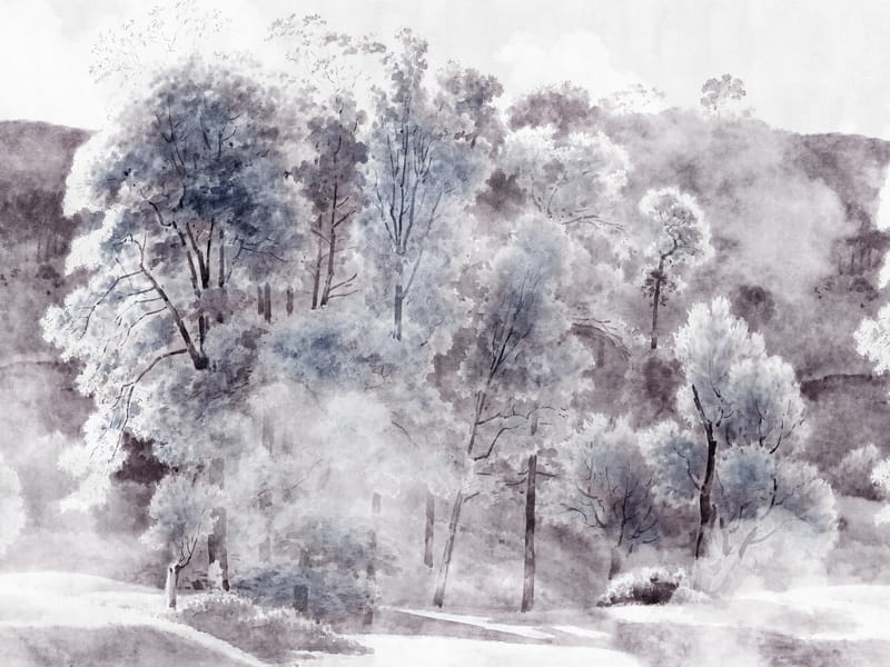 Fototapeta Waldlandschaft