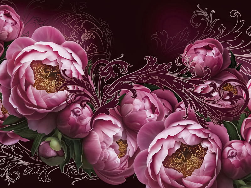Fototapeta Rosa zarte Pfingstrosen