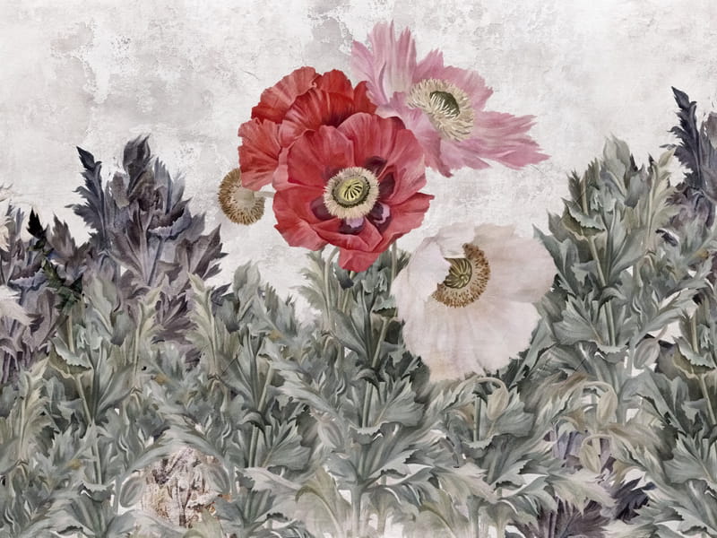 Fototapeta Strauß Mohnblumen