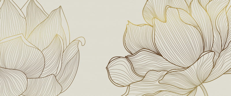 Fototapeta Wunderschöner Lotus