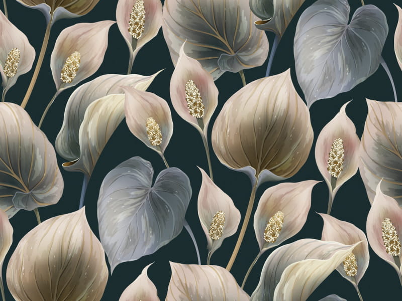 Fototapeta Beige Callas