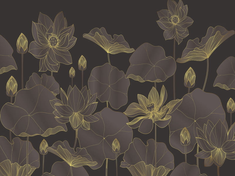 Fototapeta Dunkler Lotus