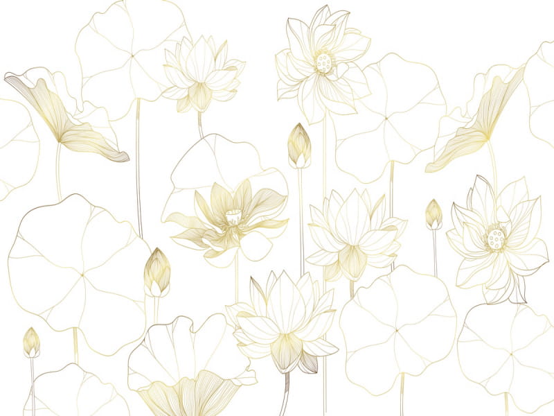Fototapeta Magischer Lotus