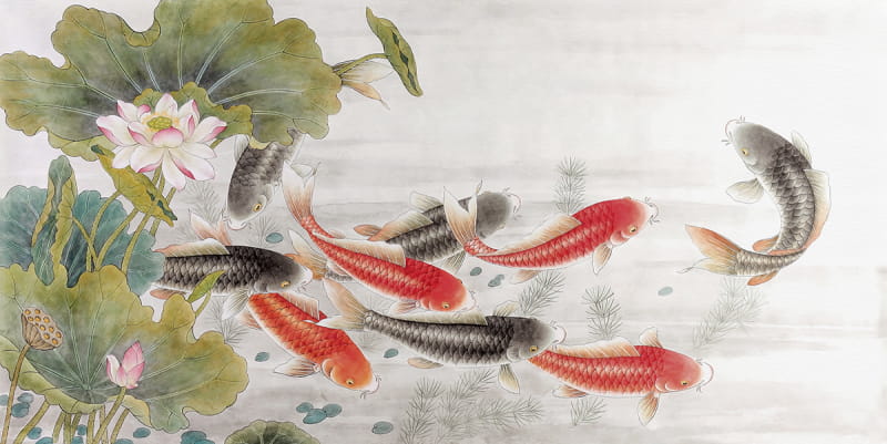 Fototapeta Fisch im Bach