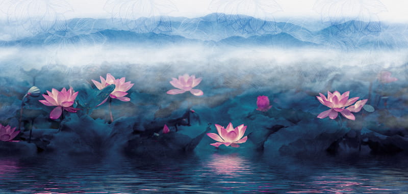 Fototapeta Wilde Lotusblumen