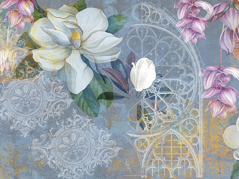 Fototapeta Weiß blühende Magnolie