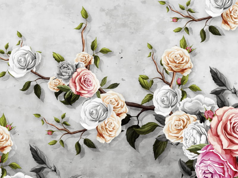 Fototapeta Zarte Rosen