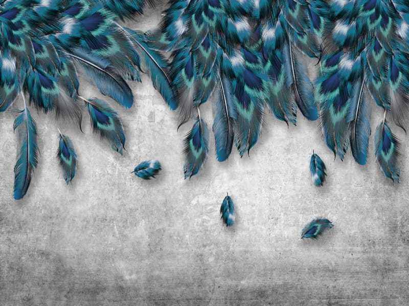 Fototapeta Blaue Federn 3D