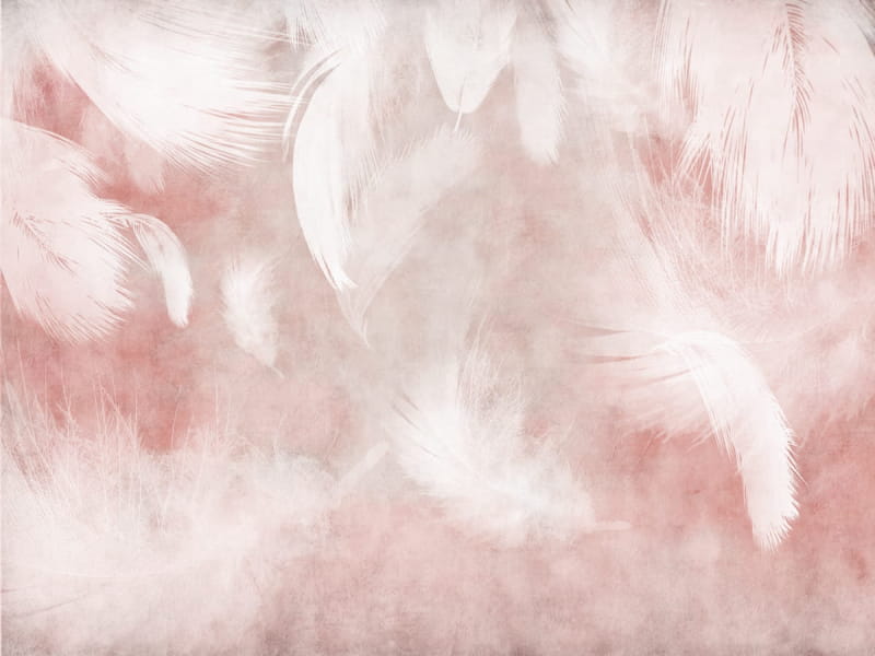 Fototapeta Zarte rosa Federn