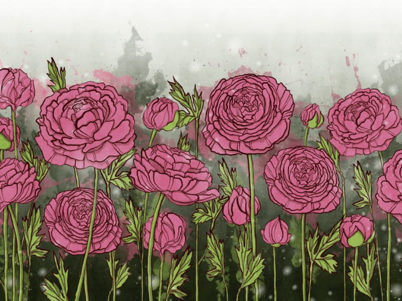 Fototapeta Teerosa Rosen
