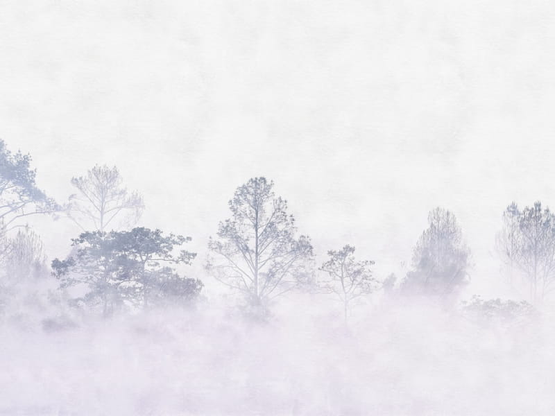 Fototapeta Nebliger Morgengrauen im Wald