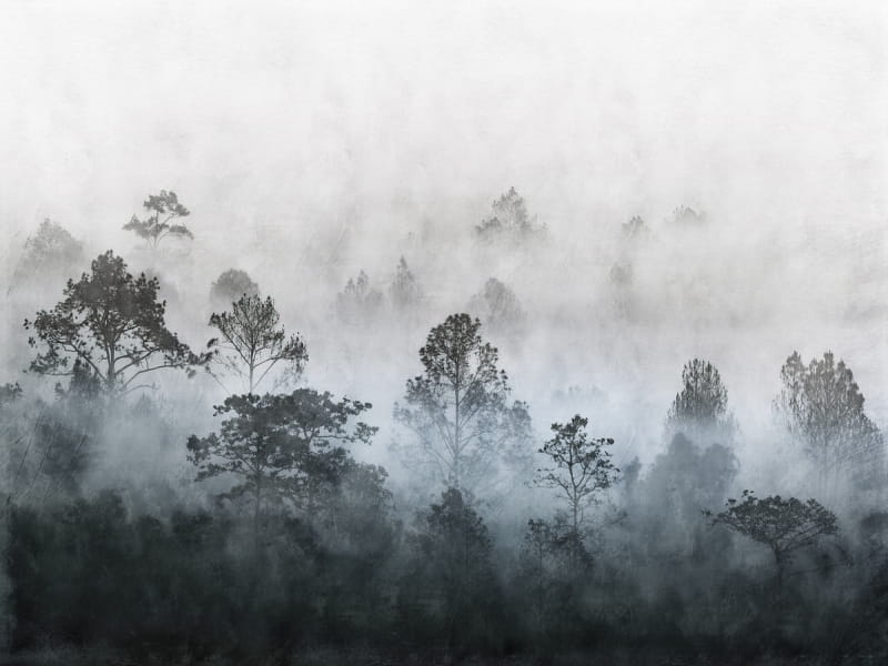 Fototapeta Nebliger Morgengrauen