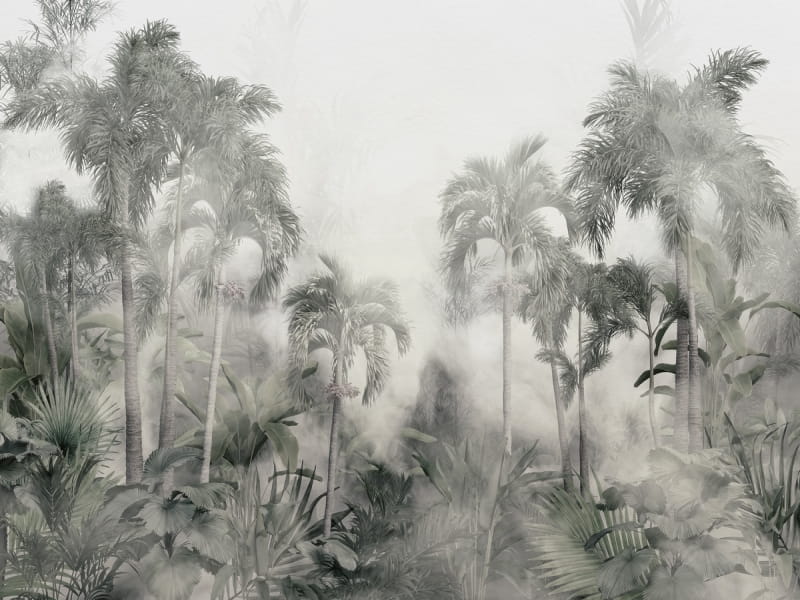 Fototapeta Nebliger Regenwald