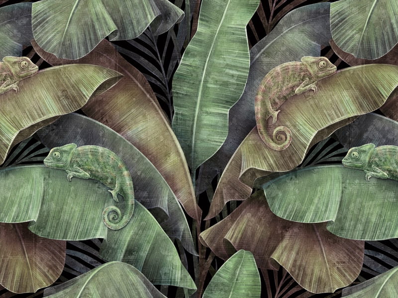Fototapeta Tropische Bananenblätter