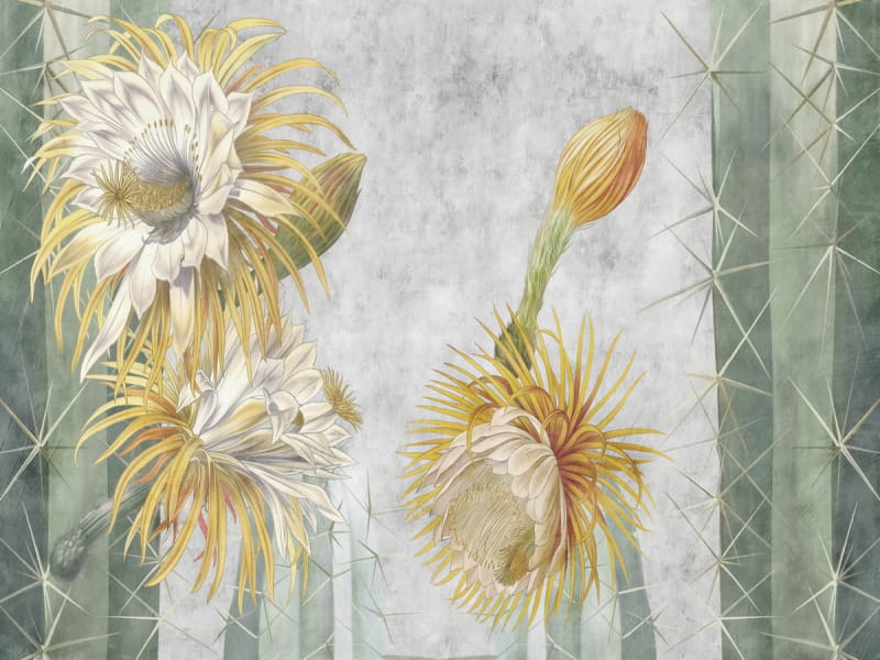 Fototapeta Kaktusblüte
