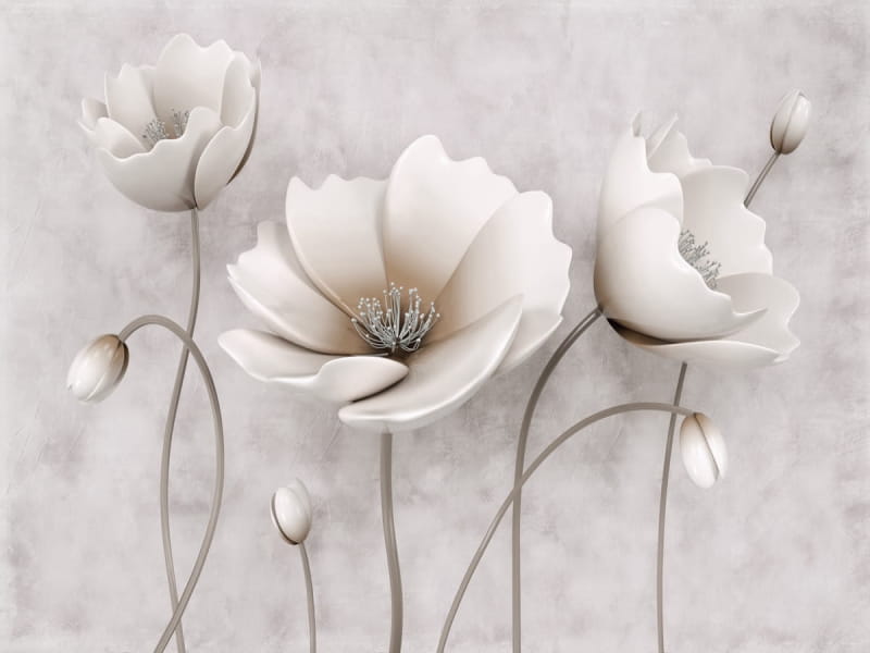 Fototapeta Weiße Mohnblumen 3D