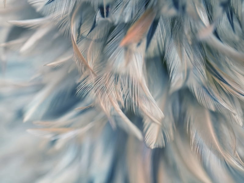 Fototapeta Blaue Luftfedern
