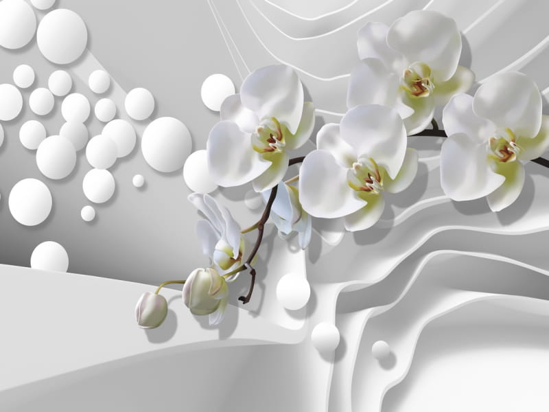 Fototapeta Weiße Orchidee 3D