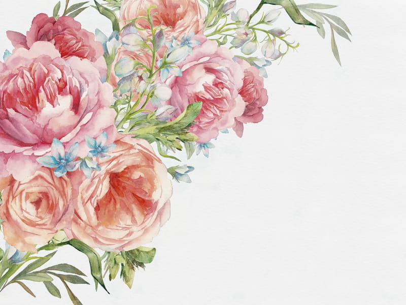 Fototapeta Zarte Blumen, Aquarell