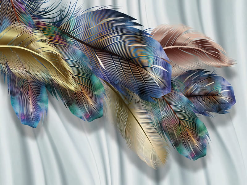 Fototapeta Federn 3D