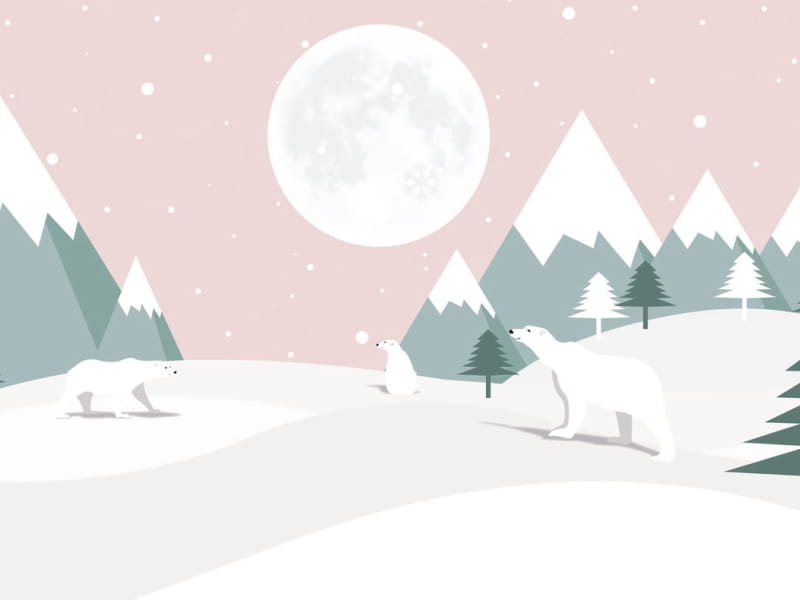 Fototapeta Eisbären im Winter