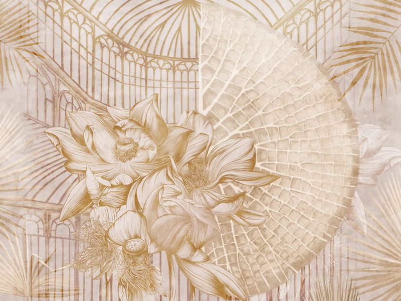 Fototapeta Seerosenblume