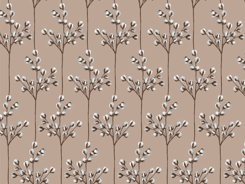 Fototapeta Baumwollblüte