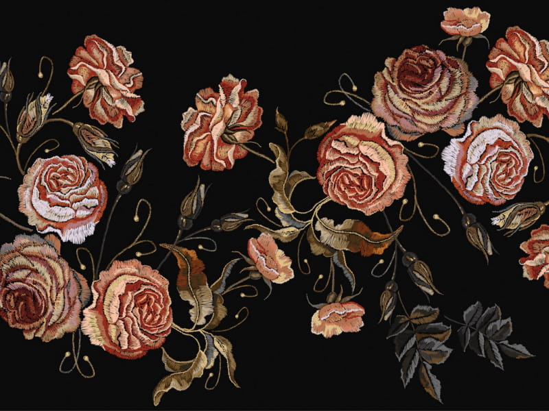 Fototapeta Zarte Rosen, Zeichnung