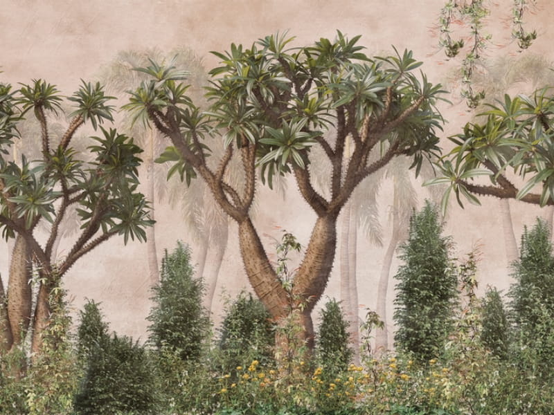 Fototapeta Madagaskar-Palme