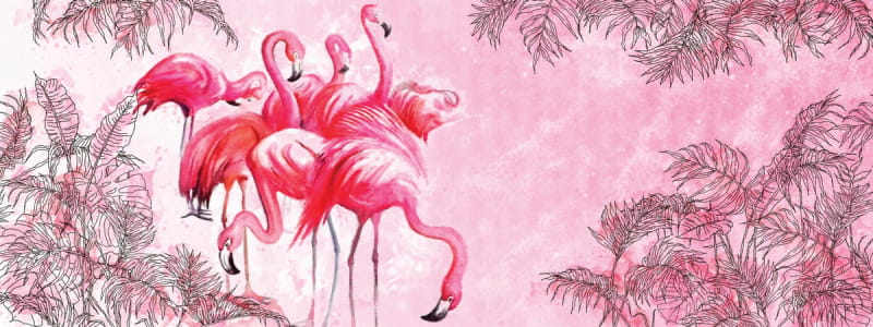 Fototapeta Wunderschöne Flamingos, Aquarell